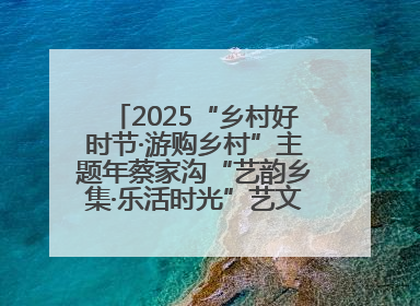 2025“乡村好时节·游购乡村”主题年蔡家沟“艺韵乡集·乐活时光”艺文嘉年华活动启幕