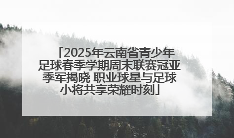 2025年云南省青少年足球春季学期周末联赛冠亚季军揭晓 职业球星与足球小将共享荣耀时刻