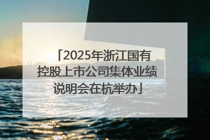 2025年浙江国有控股上市公司集体业绩说明会在杭举办