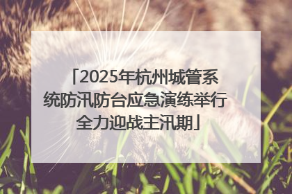2025年杭州城管系统防汛防台应急演练举行 全力迎战主汛期
