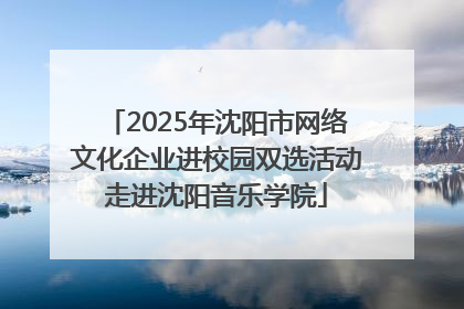 2025年沈阳市网络文化企业进校园双选活动走进沈阳音乐学院
