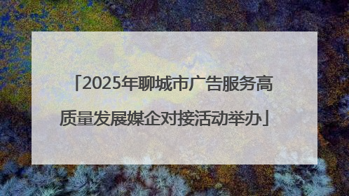 2025年聊城市广告服务高质量发展媒企对接活动举办
