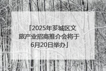 2025年芗城区文旅产业招商推介会将于6月20日举办