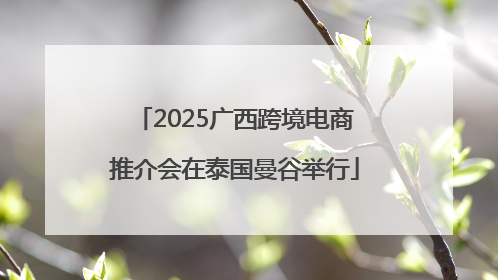 2025广西跨境电商推介会在泰国曼谷举行