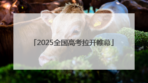 2025全国高考拉开帷幕