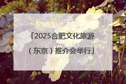 2025合肥文化旅游（东京）推介会举行