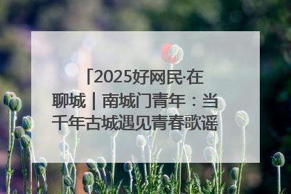2025好网民·在聊城｜南城门青年：当千年古城遇见青春歌谣 一湖碧水见证的“聊城式浪漫”