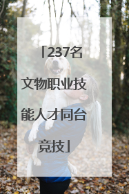 237名文物职业技能人才同台竞技