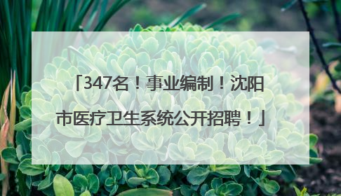 347名！事业编制！沈阳市医疗卫生系统公开招聘！