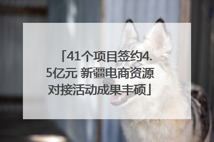 41个项目签约4.5亿元 新疆电商资源对接活动成果丰硕