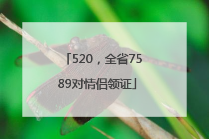 520，全省7589对情侣领证