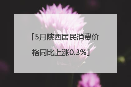 5月陕西居民消费价格同比上涨0.3%