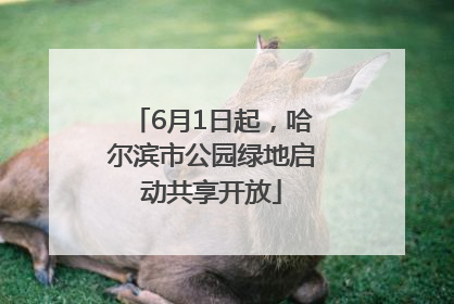 6月1日起，哈尔滨市公园绿地启动共享开放