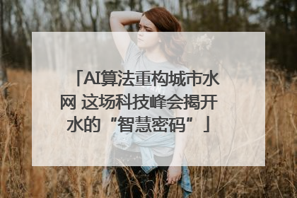 AI算法重构城市水网 这场科技峰会揭开水的“智慧密码”