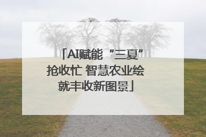 AI赋能“三夏”抢收忙 智慧农业绘就丰收新图景