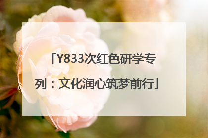 Y833次红色研学专列：文化润心筑梦前行